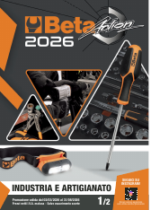 Beta Action Industria e Artigi..